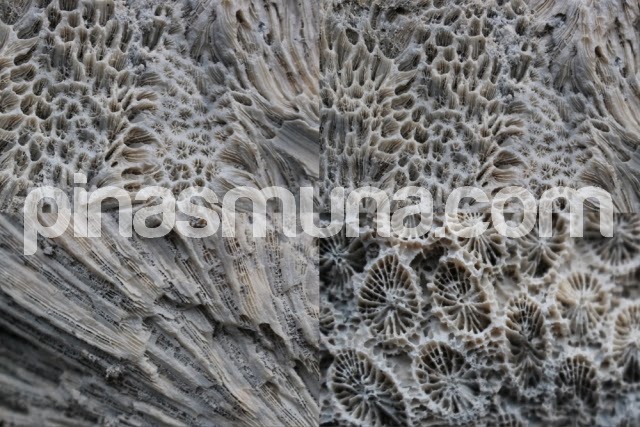 coral stones as building blocks of Ivatan stone houses