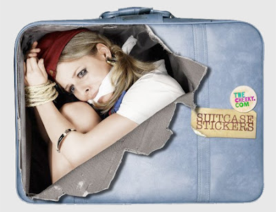 Creative Suitcase Stickers Seen On www.coolpicturegallery.us