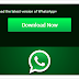 Install WhatsApp on your mobile