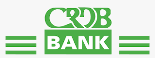 Senior Specialist – Payment Systems Job Opportunities at CRDB Bank Plc 2022