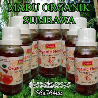 Gerai Susu Medan Madu Organik Sumbawa