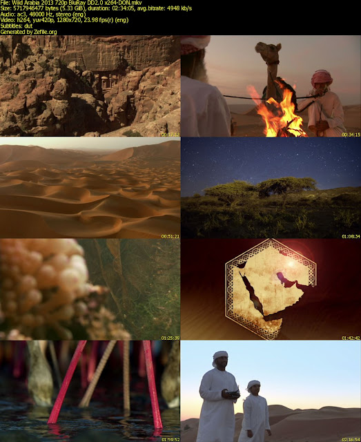 Hình ảnh trong Phim Wild Arabia - 2013