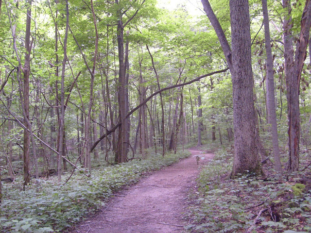 Indiana Road Trip Photos of the Day - Fort Harrison State Park