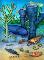 Cambriano cambrian
