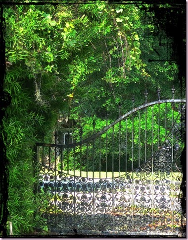 CaliFramewatercIMG_5258