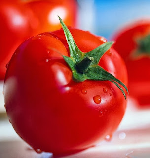 Manfaat Buah Tomat Bagi Kesehatan dan Kecantikan  Manfaat Buah Tomat Bagi Kesehatan dan Kecantikan