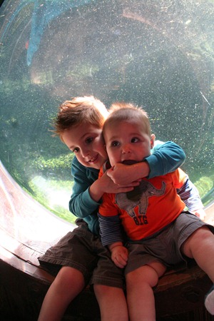 zoo, soccer 039