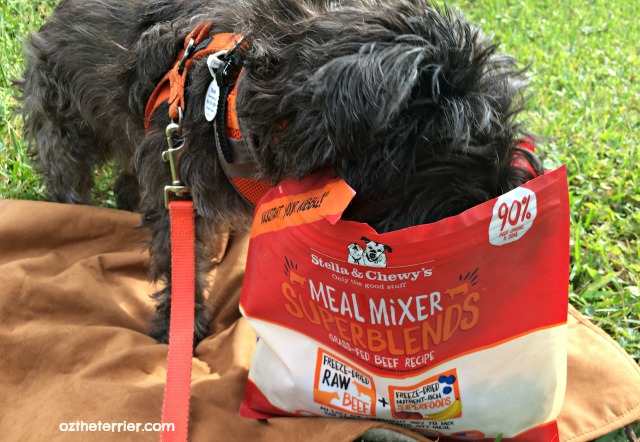 oz loves stella and chewys superblends meal mixers raw food for dogs