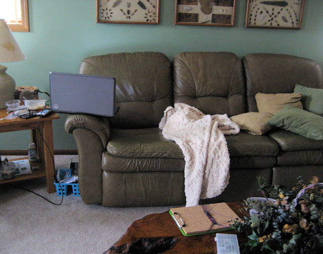 The messy couch 
