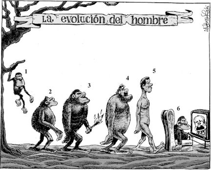 teoria de la evolucion. teoria de la evolucion.