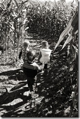 IMG_4659bw