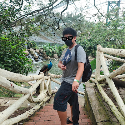 picture of me with a peacock