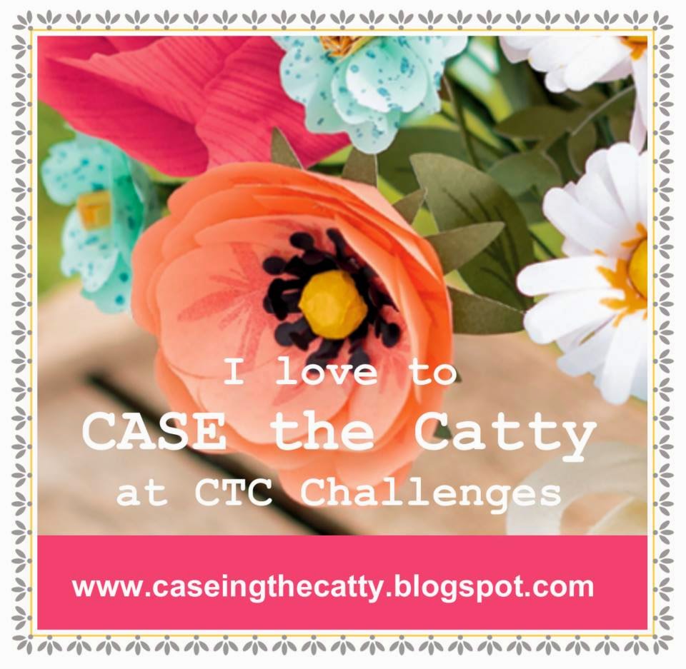 http://caseingthecatty.blogspot.com