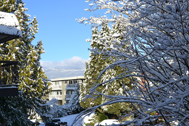 Snow in Vancouver