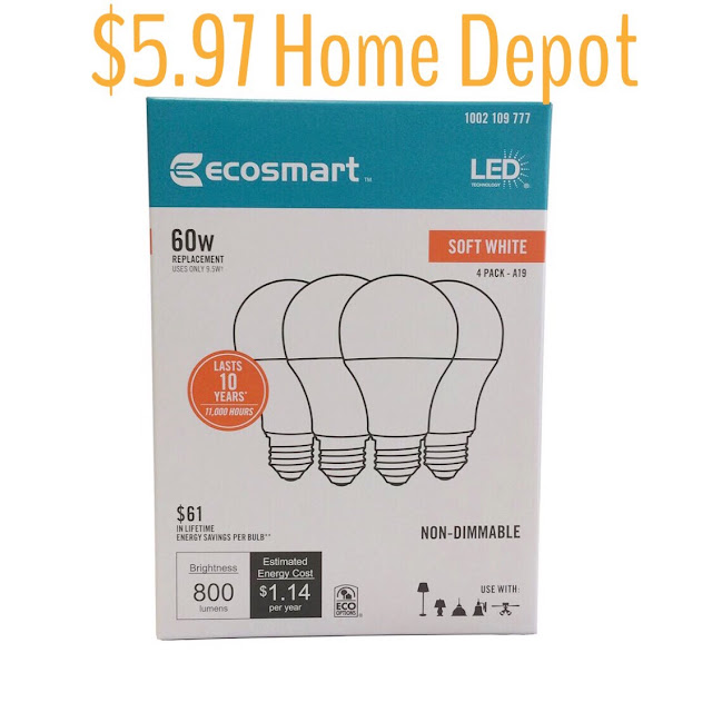 economical led bulbs from home depot