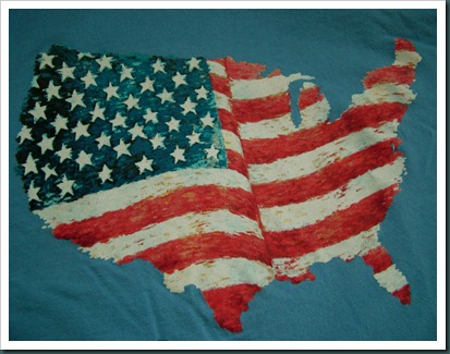 flag day0614 (4)