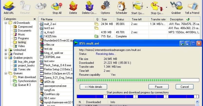 Aşkın CANBAZ: Internet Download Manager 6.12.15.1 crack ...