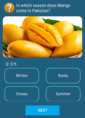 In Which season does Mango come in Pakistan?
