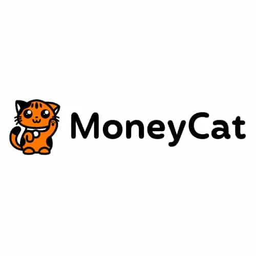 vay tien Moneycat