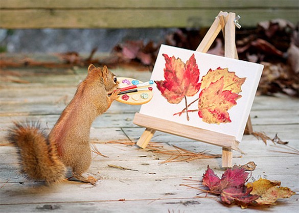 Creative photos of squirrels