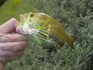 upper potomac smallmouth