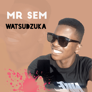 Mr Sem - Watsudzuka ( 2020 )