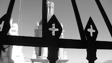 Sombras de catedral