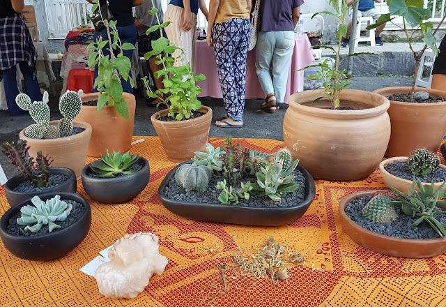 Minha experiência 💚 nas 5 primeiras FEIRAS VEGANAS de SALVADOR