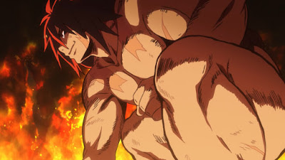 Hinomaru Sumo Series Image 1