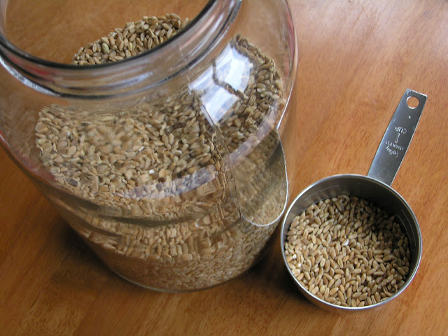 whole wheat, before sprouting