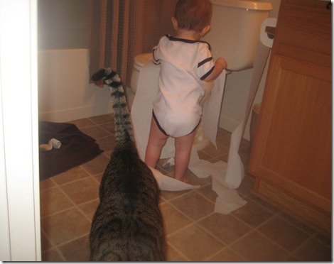 10 16 11 - Toilet Paper Caper (4)