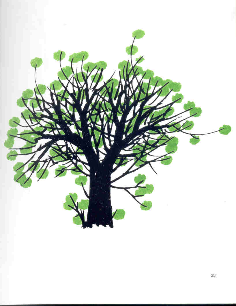 Bruno Munari "Disegnare un albero" pag 23
