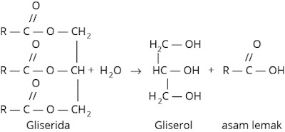 Reaksi Hidrolisis lemak atau minyak