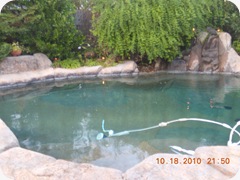 DSCN2412