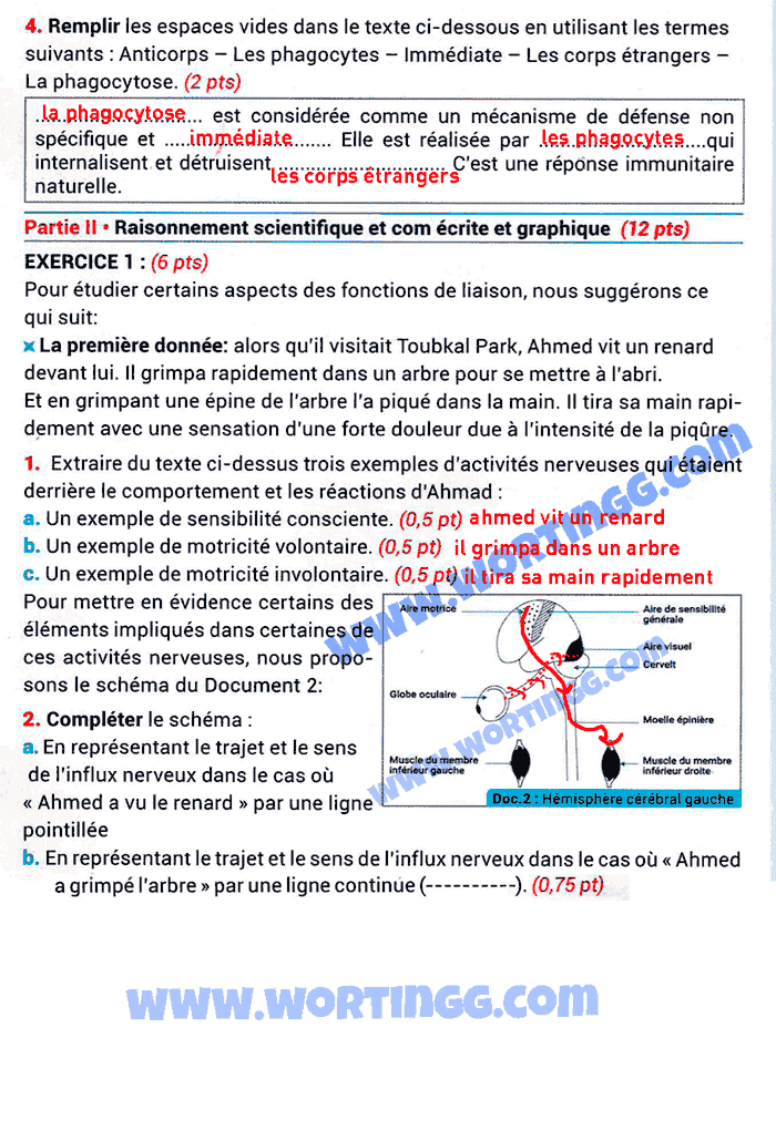 examen régional svt 3ème année collège maroc