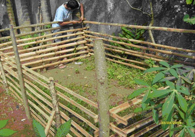 Cara Teknis Membuat Kolam Terpal Dari bambu 