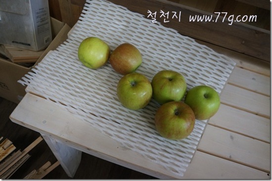 철천지DSC08878-20120829-164412