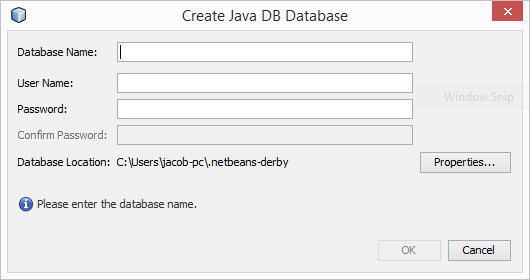 Database fields in Netbeans