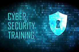 ONLINE CERTIFIED CYBER SECURITY PROFESSIONAL TRAINING BY NEONETWIRELESS