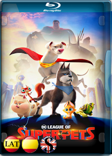 DC Liga De Supermascotas (2022) REMUX 1080P LATINO/ESPAÑOL/INGLES