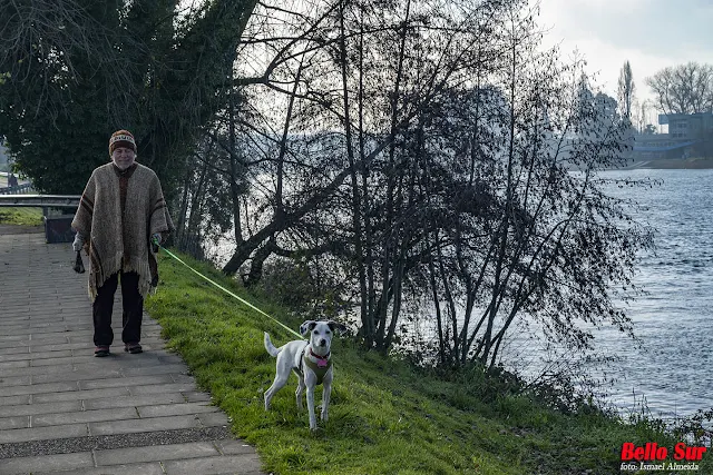 Llegó el invierno