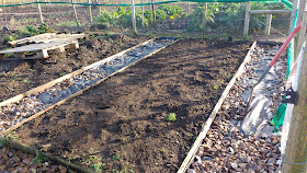 Allotment in late autumn