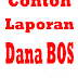 Contoh Laporan Penggunaan Dana BOS tahun 2015