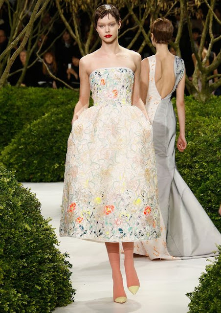 Christian Dior Spring 2013 Couture 