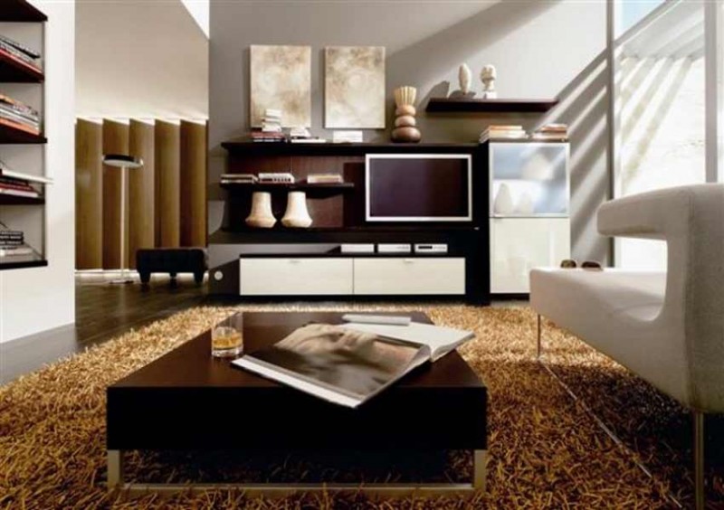 decorating ideas for a living room with lux carpet ~ Living Room ...