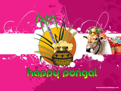 Pongal Wallpapers,Pongal Freetings Pictures,Pongal Images