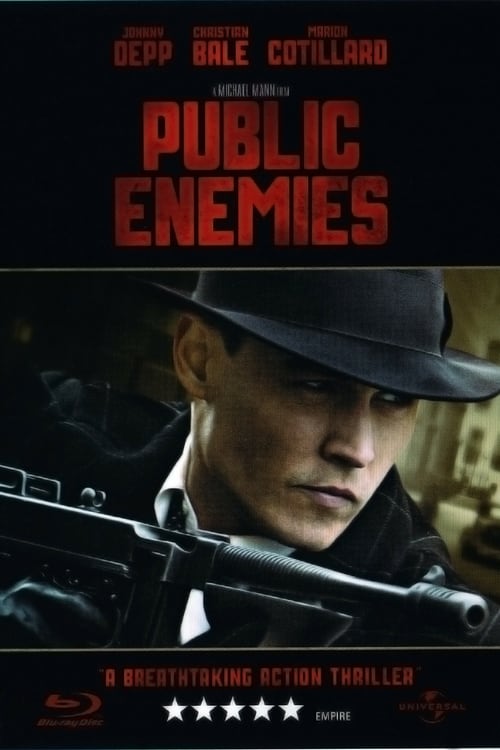 Nemico pubblico - Public enemies 2009 Download ITA