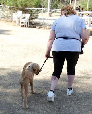 Training a Service Dog.... My Journey So Far by Stacey Kuhns