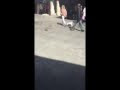 قط مغربي يهاجم سائحة في المدينة القديمة