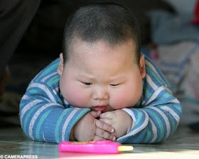 Funny pictures of fat babies, Funny pictures of fat animals, Funny fat ...